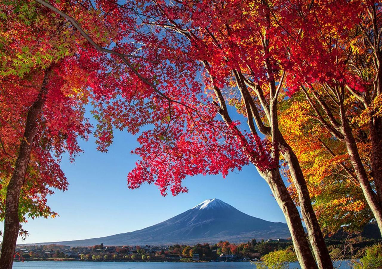Vila 富士山金魚 Fujisan Kingyo Fudžikawagučiko Exteriér fotografie